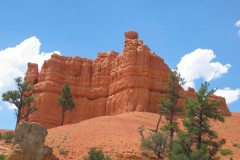IMG_7771