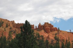 IMG_7773