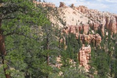 IMG_7779