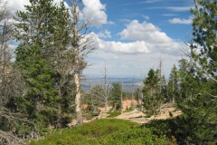 IMG_7801