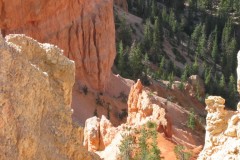 IMG_7820