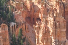 IMG_7821