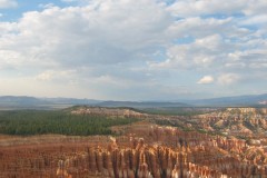 IMG_7889