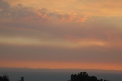 IMG_7943