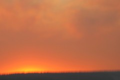 IMG_7952