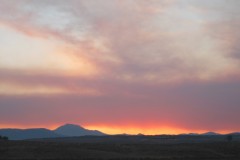 IMG_7955