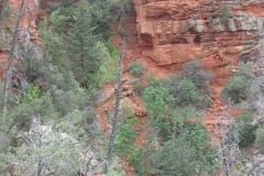 20060503-Devils-Bridge-JDS-040