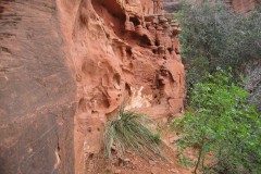 20060503-Devils-Bridge-JDS-056