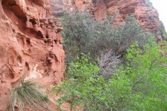 20060503-Devils-Bridge-JDS-057