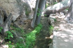 20060505-Montezuma-Well-JDS-042-Copy