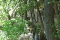 20060505-Montezuma-Well-JDS-043-Copy